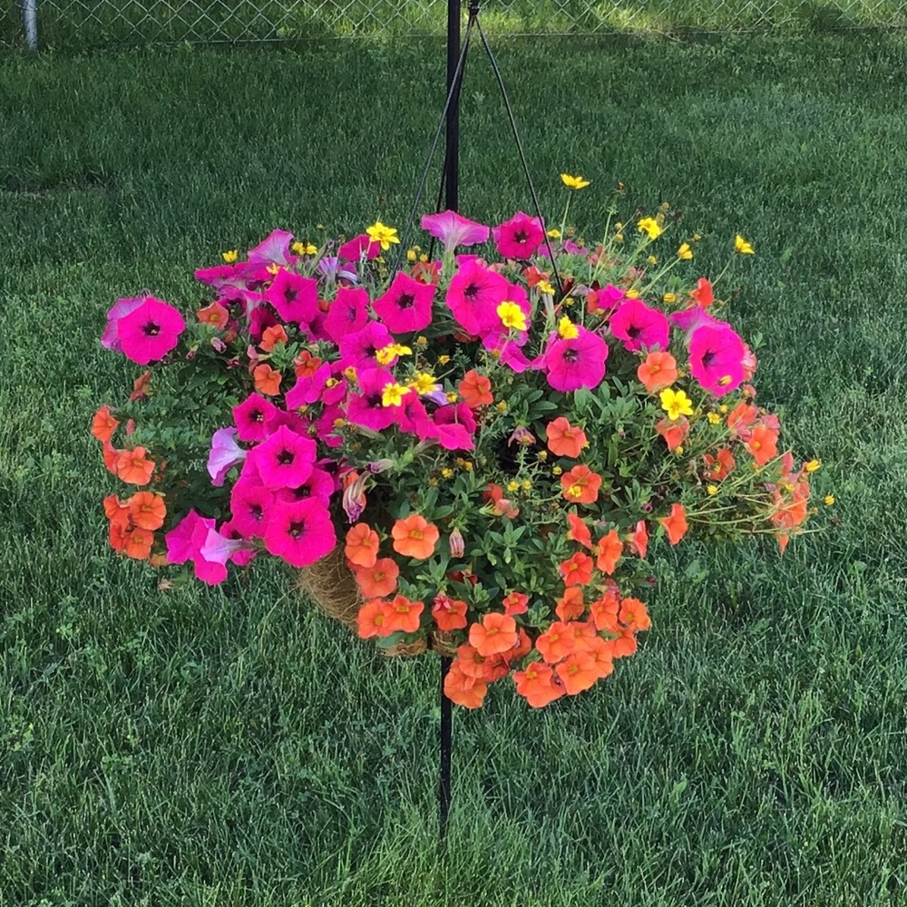 🍺 Handmade 6Pack Carrier 🍻 - Picture 16 of 17